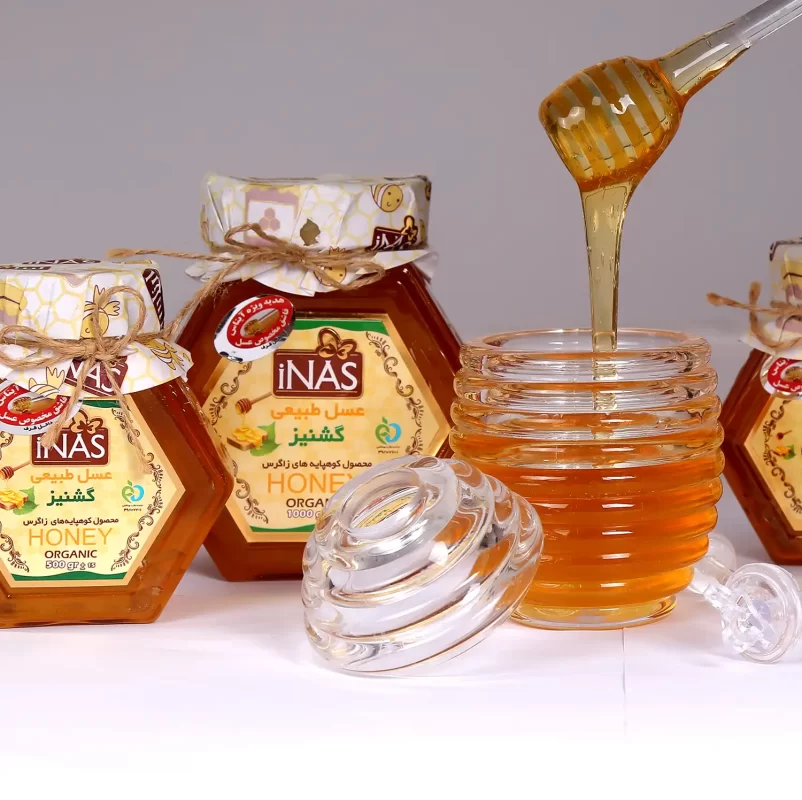 عسل طبیعی گشنیز آیناس